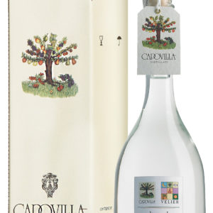 CAPOVILLA | PESCHE DI VIGNA A PASTA ROSSA